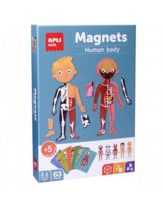 Magnetic - Anatomy
