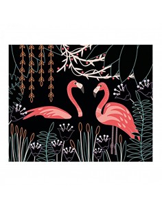 Ανακαλύπτω Ξύνοντας την... 2