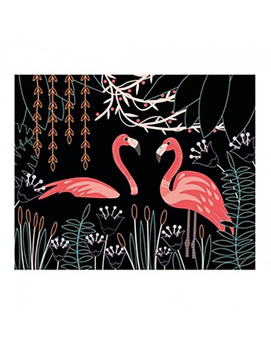 Fantastic Birds Scratch Art Cards