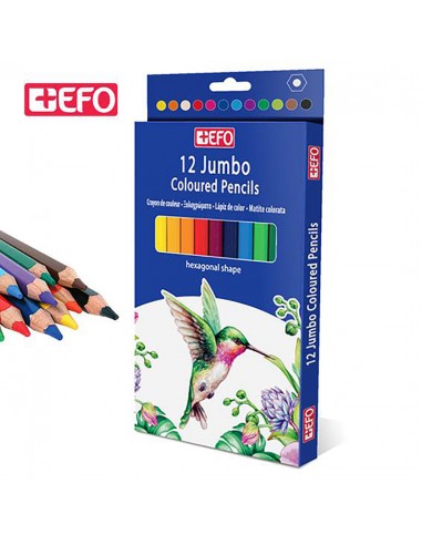 Ξυλομπογιές +Efo Jumbo 12 χρώματα