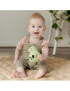 Κουδουνίστρα Σιλικόνης -... 2