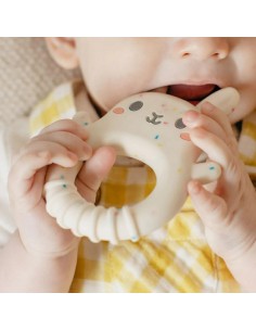 Παιχνίδι Οδοντοφυίας -... 2