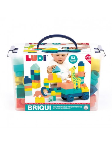 Ludi τουβλάκια 53 τεμάχια σε βαλιτσάκι